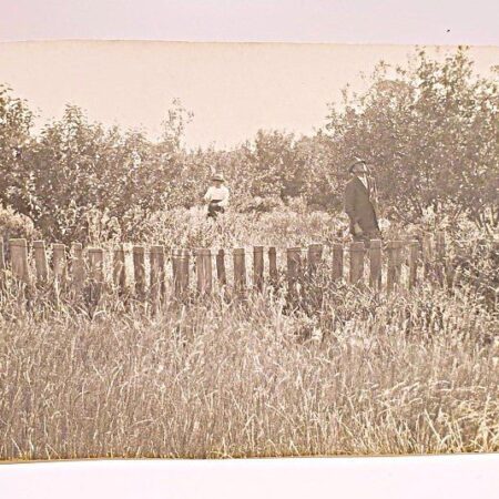 1910 Black & White Postcard