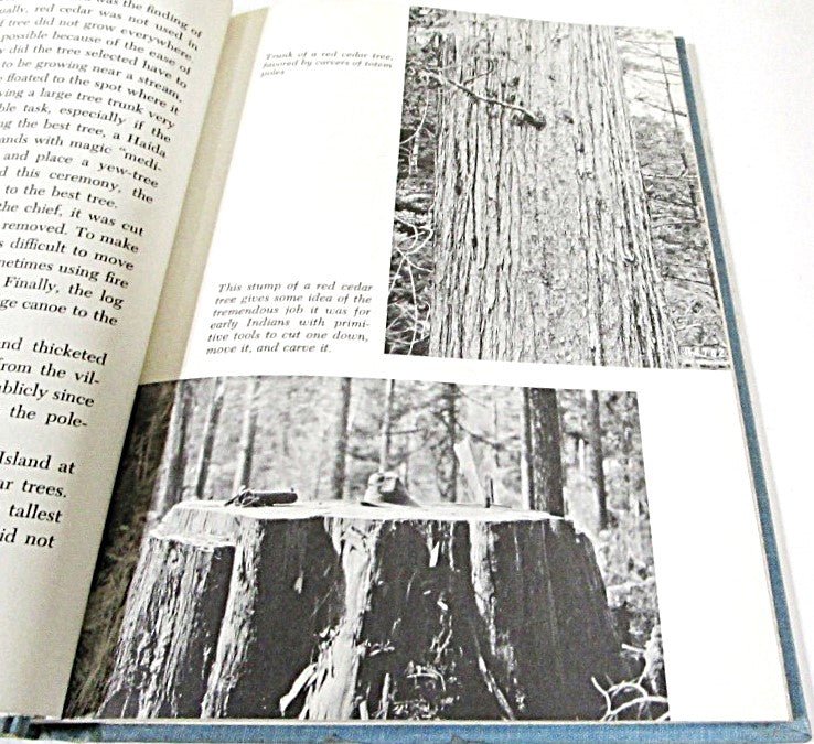 Talking Totem Poles by Glenn Holder 1973 - Image 4